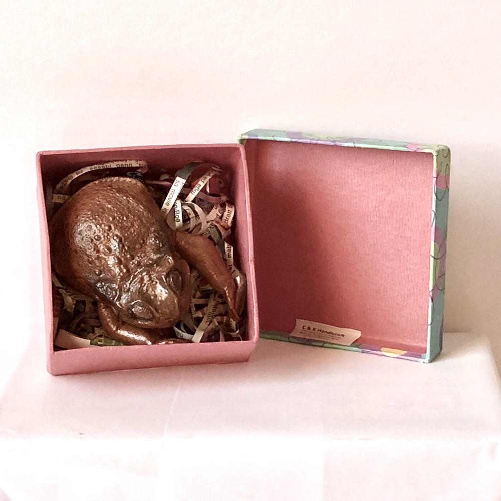Rare FROG leather zippered coin purse BNWT